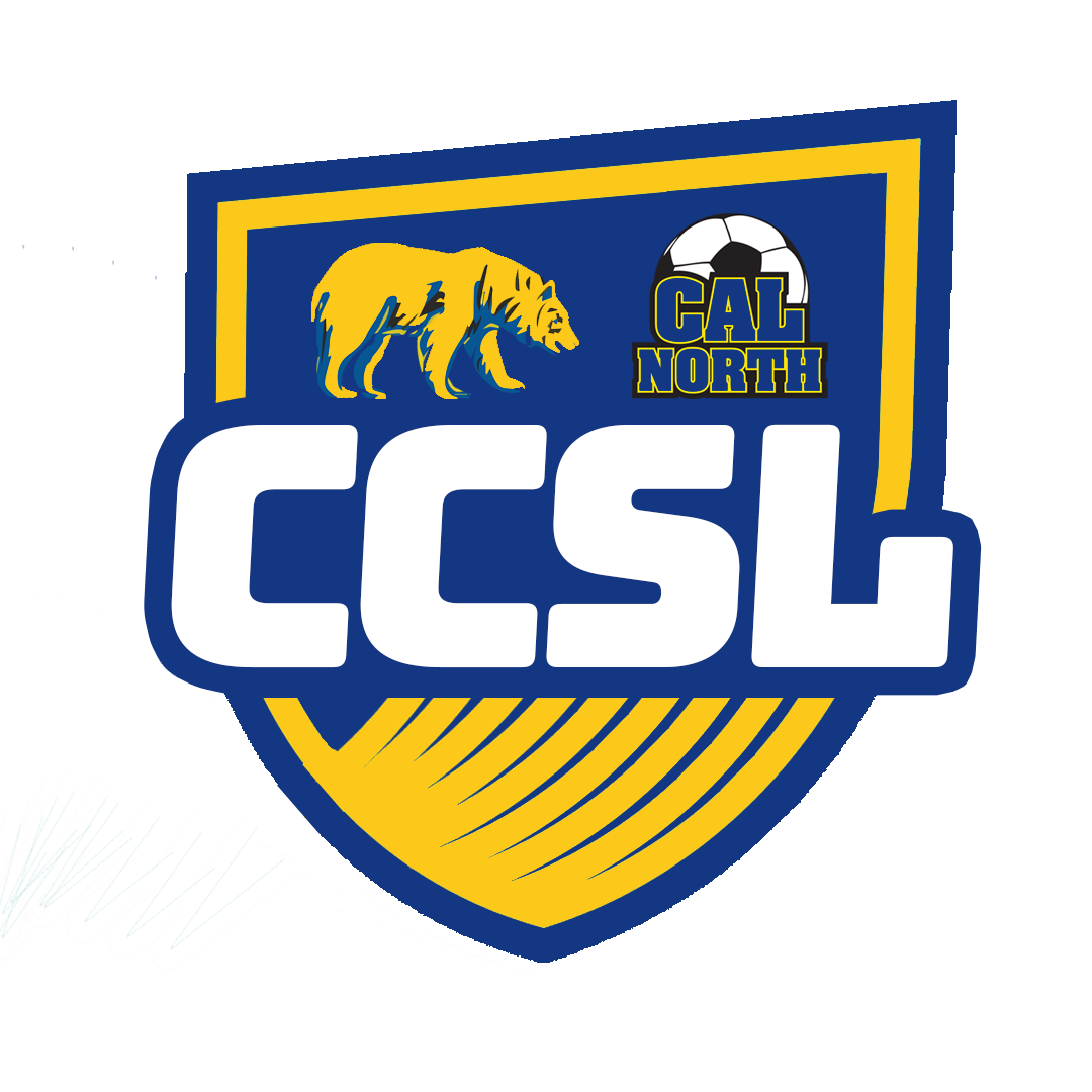 Competitive Soccer League Overview Cal North Soccer